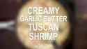 creamy shrimp_thumb.jpg
