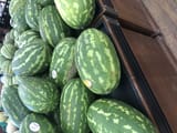 IMG_9532