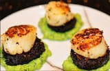 Scallops-black pudding-pea puree