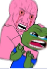 6z4po6