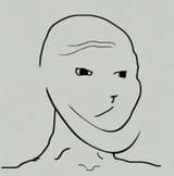 45646