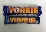 yorkies