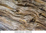 background-detail-old-dry-wood-260nw-320415746