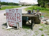 my hot nuts
