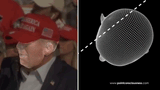 Trump3D-daed