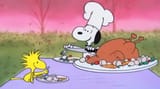 snoopy woodstock tg