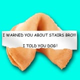 175142450warnedyouaboutstairs7837063