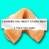 warnedyouaboutstairsbrocookie