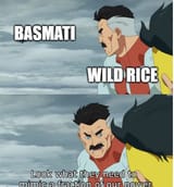 fuck basmati all my homies hate basmati