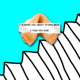 I warned you about stairs bro cookie