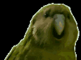 1748161757036574