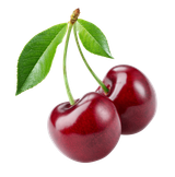 iStock-533381303