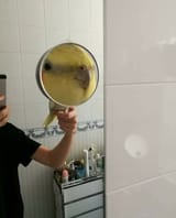 1523761520178
