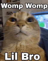 womp-womp