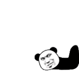 china bear gif