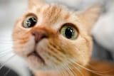 file-20250226-32-jxjhmy[1]