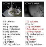 soy-milk-vs-cows-milk