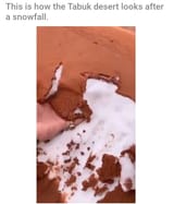 forbidden tiramisu