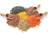 different_types_of_lentils