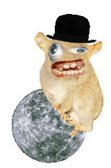 SpongmonkeyA