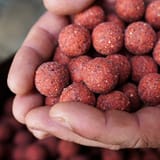Red-Fruit-Boilies