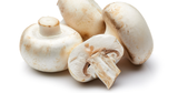 shrooms