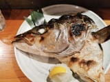 salmon head