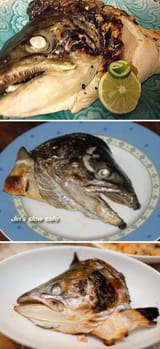 salmon