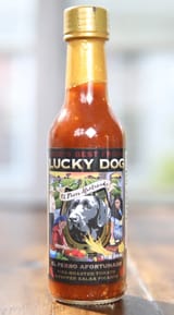 lucky dog