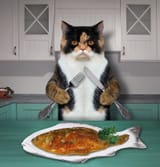 cat-near-plate-fried-fish-cat-knife-fork-sits-front-big-plate-fried-fish-dining-room-146626324