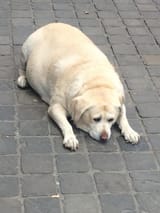 1648161652259