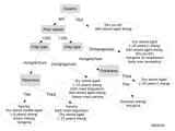 pot_tea_pairing