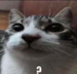 huh