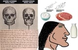 chinese-beta-cook-versus-mongol-meat-eating-chad-sigma-male-v0-gu8s00ww1bk91