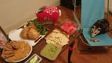 possum-feast