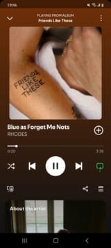 Screenshot_20250717_194631_Spotify