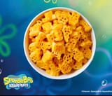 Sponge