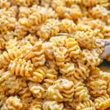 Radiatore-Pasta-SQ-1