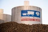 sugar beets