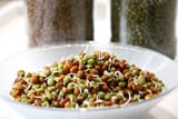 how-to-sprout-seeds