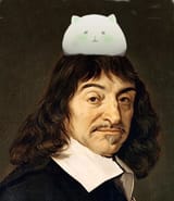 1586446919472