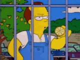 mcdom89-simpsons