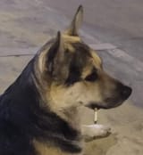 1629769165993