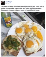 joe rogan sandwich