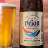DSC_8947-Orion-Draft-Beer-and-Pint-SQUARE-1000-3614144658