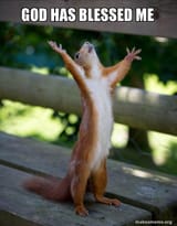god-has-blessed-5c1c57