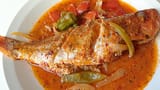 snapper