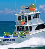 Apus fishing