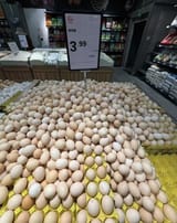 1732170257481769