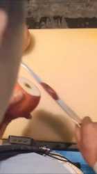 Thread 21492174 OP Image